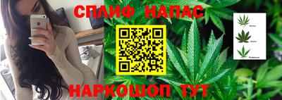 соль ск Новокубанск